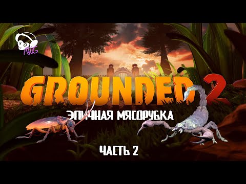 Видео: POV: Я СТРАВИЛА 3 ХИЩНИКОВ НА СЕВЕРНОГО СКОРПИОНА!! ЭПИЧНАЯ МЯСОРУБКА/ ТАРАКАН БЕЗ ГОЛОВЫ - ИМБА?