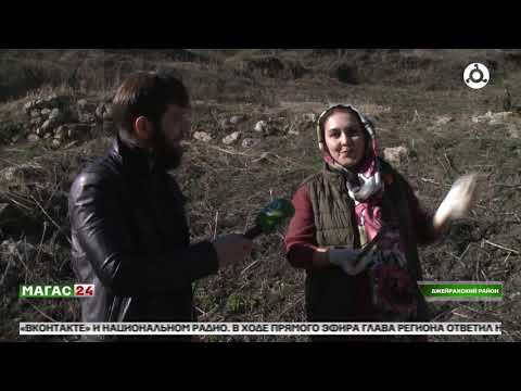 Видео: В башенном комплексе Лялах в горной Ингушетии ведутся археологические работы.