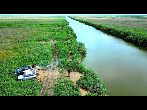Видео: ЛЕТНЯЯ РЫБАЛКА НА САЗАНА. РЫБАЛКА С НОЧЕВКОЙ.