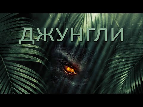 Видео: Джунгли / Приключения / HD