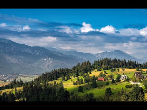 Видео: PARA-D    Черемшина  - Вокальный дуэт - Вера и Владимир Демченко