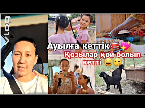 Видео: Влог/Ауылға кеттік🚘💖/Қозылар қой болып кетті😄🥲#влог