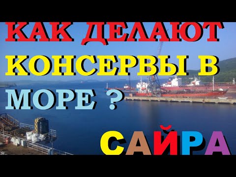 Видео: Как делают рыбные консервы в море.РАБОТА НА САЙРЕ.