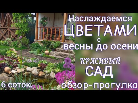 Видео: Прогулка по САДУ 12 июня . Расцвёл ДИКОВИННЫЙ почвопокровник 😲🥰