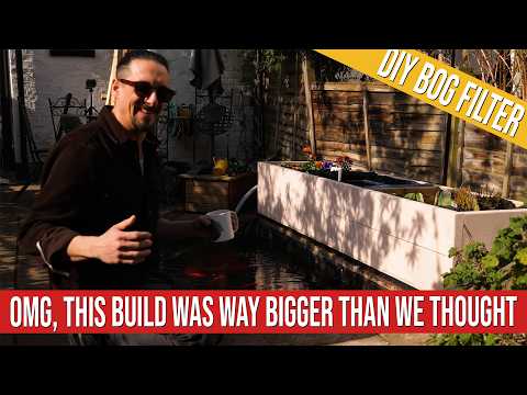 Видео: Мы построили болотный фильтр для нашего пруда с рыбками, и результаты потрясающие!!