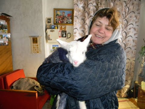 Видео: ЖИЗНЬ  в селе глазами ЖЕНЫ