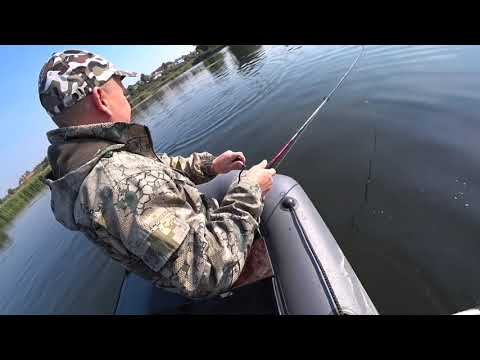 Видео: Как поймать толстолобика на блесну. Рыбалка в Тульской области