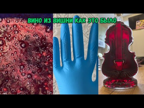 Видео: Вино из вишни как это было