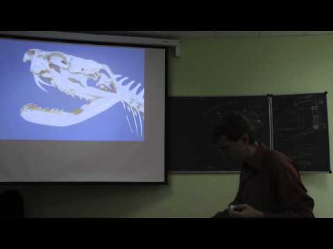 Видео: 2014.11.06 - Зоология позвоночных - Огурцов С.В. Часть 2