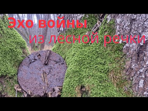 Видео: Опасные находки  из лесной речки