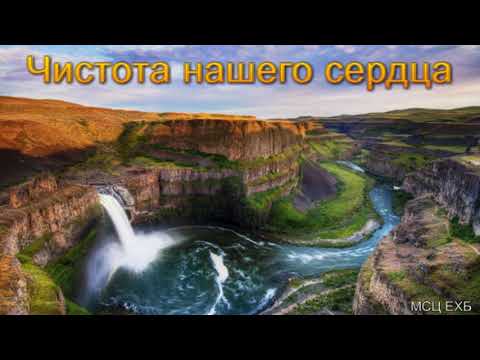 Видео: "Чистота нашего сердца". А. Н. Елисеев. МСЦ ЕХБ