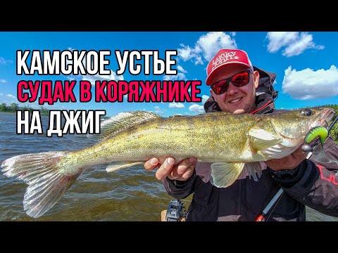 Видео: Камское устье. Судак в коряжнике на джиг. Лето 2019