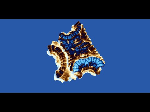 Видео: Шейдеры: с нуля до рисования фракталов