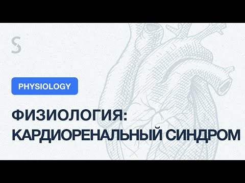 Видео: USMLE Step 1 - Физиология: кардиоренальный синдром