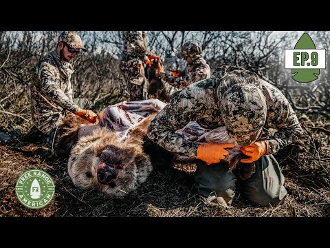 Видео: BRCC Alaska Bear Hunt, эпизод 9: Блондинка-красавица в последнюю минуту