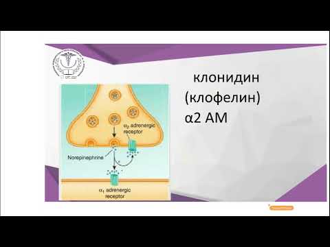 Видео: Тема 6 Норадреналинэргическая система  Серотонинэргическая система