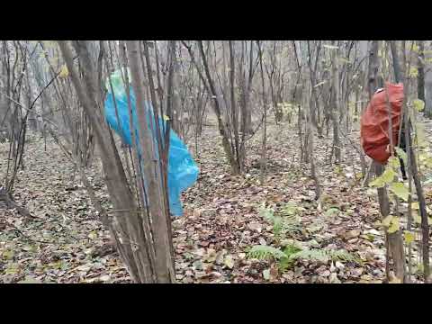 Видео: Мой метод поиска крохотных селушек.