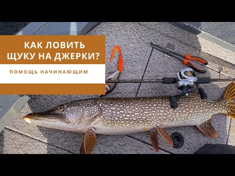 Видео: Как ловить щуку на джерки? Помощь начинающим.