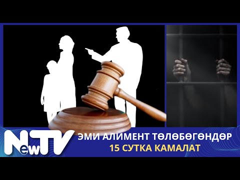Видео: Эми алимент төлөбөгөндөр 15 сутка камалат