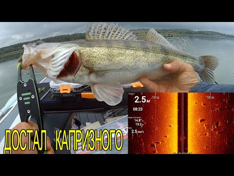 Видео: Эхолот Raymarine Element 7 HV  350 И 1 2 ЧАСТОТА ГДЕ РЫБА? СУПЕР КАПРИЗНЫЙ СУДАК НА СПИННИНГ ОСЕНЬЮ,