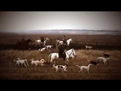 Видео: Охота с борзыми