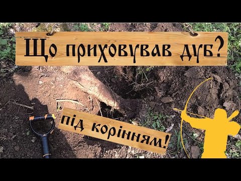 Видео: Коп козацького хутора у лісі. Пошуки монет з металошукачем.