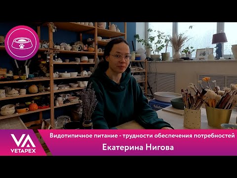 Видео: Кафедра Диетологии. Екатерина Нигова - Видотипичное питание - трудности обеспечения потребностей