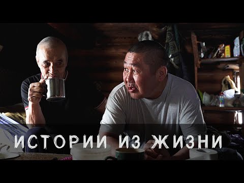 Видео: Истории из жизни.