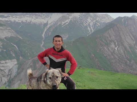 Видео: ку́йга тузберайамиз 03 07 2023 йил