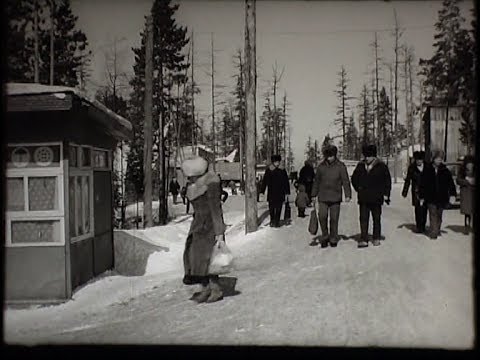 Видео: "Звенья неурядицы", Беркакит, Якутия, конец 80-х