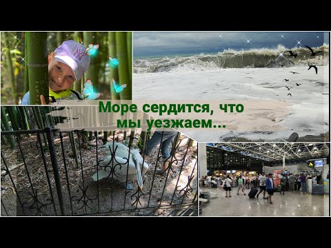 Видео: Влог:  Пеликан Санек в драку/  Море сердится/ Мы улетаем домой