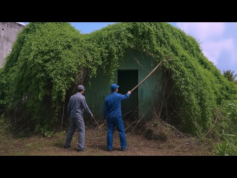 Видео: Страшный забытый дом – панорама возрождения после 10 лет запустения