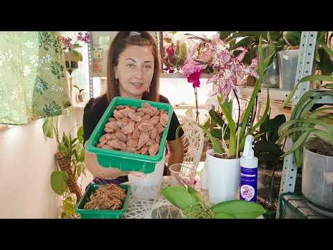 Видео: Секреты пересадки орхидей: Зачем вы все время терпите неудачи?