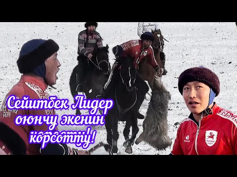 Видео: Сейитбек Улакты ташып салды!!!