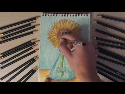 Видео: Как карандашами нарисовать подсолнух в стиле Винсента ван Гога. Sunflower drawing | Art Time 