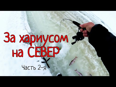 Видео: За хариусом на СЕВЕР или зимняя рыбалка мечты/Келлог. Часть 2-я.