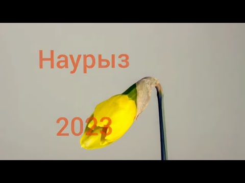 Видео: Көрісу күні. Встречаем Наурыз 2023.