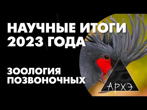 Видео: Павел Квартальнов: "Итоги 2023 в зоологии позвоночных"