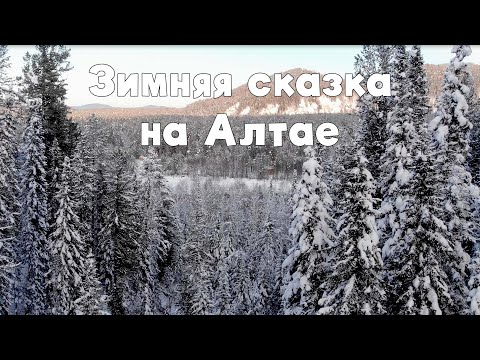 Видео: Зимняя сказка на Алтае
