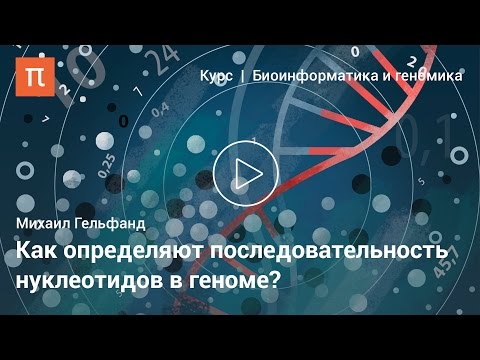 Видео: Новые технологии в генетике и геномике — Михаил Гельфанд