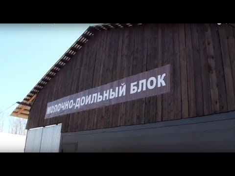 Видео: Молочный навес - размеры и план