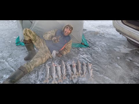 Видео: Озеро Бiрсуат, Вовка ловит! ))) Декабрь 2023