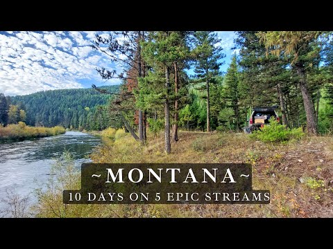 Видео: Нахлыстовая рыбалка в Монтане — 10 дней кемпинга на грузовиках — 5 потрясающих рек