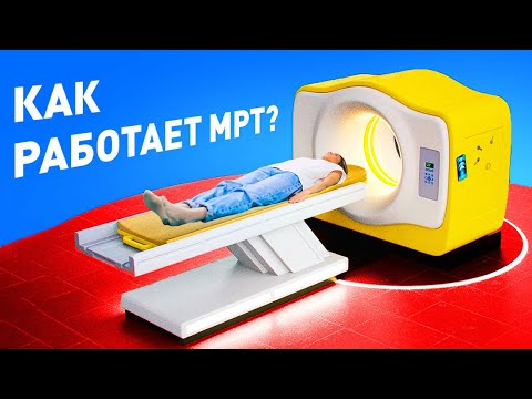 Видео: Что происходит с вашим телом, когда вы делаете МРТ?