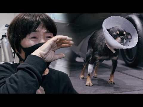 Видео: Лили наконец встает на четвереньки - Часть 2