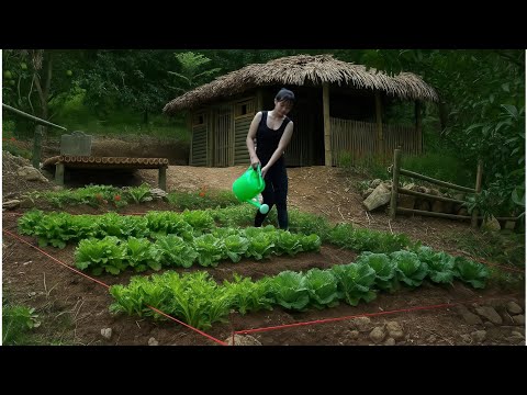 Видео: Юная девушка полна решимости выжить в дремучем лесу. Постройте дом и выращивайте овощи.