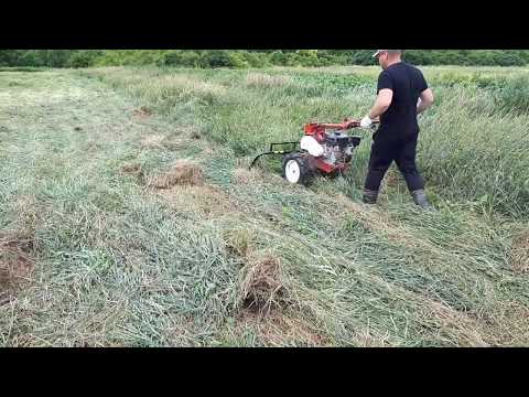 Видео: Сенокос мотоблоком 2020 или На что способен мотоблок ЗиД Фаворит