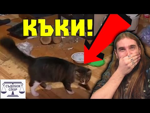 Видео: История за КОТКАТА КЪКИ!