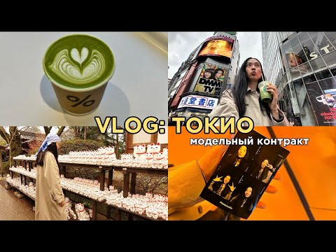 Видео: VlOG: МОДЕЛЬНЫЕ БУДНИ В ТОКИО| апарты, кастинги, мои первые впечатления и культурный шок🇯🇵🗼