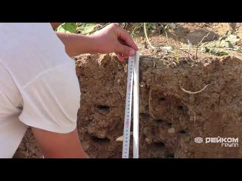 Видео: Тест в грунте Garrett ATX